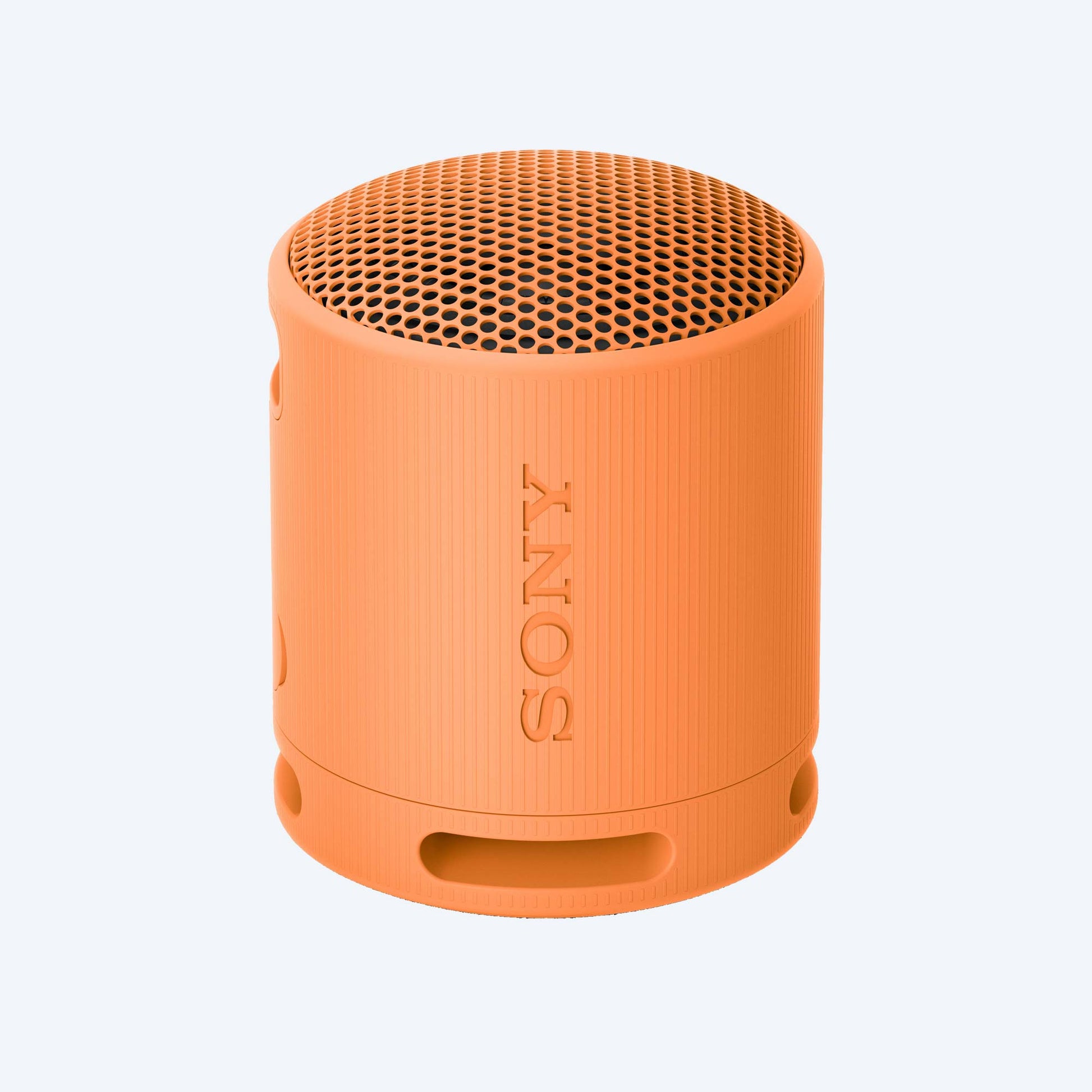 Sony SRS-XB100 Portable Wireless Speaker
